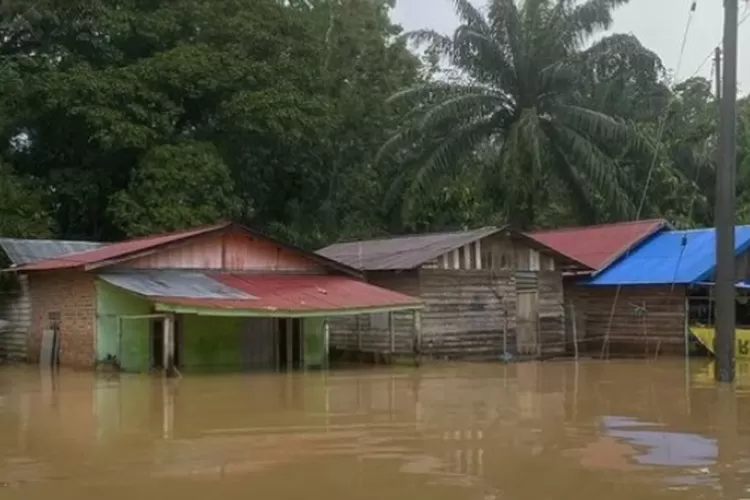 Banjir IKN-harianhaluan.com