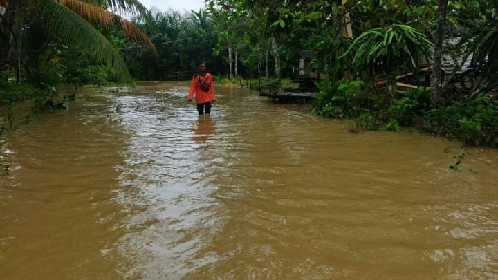 Banjir di PPU-tempo.co