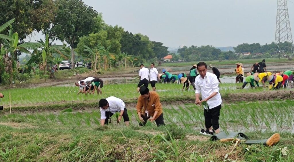 Presiden menanam