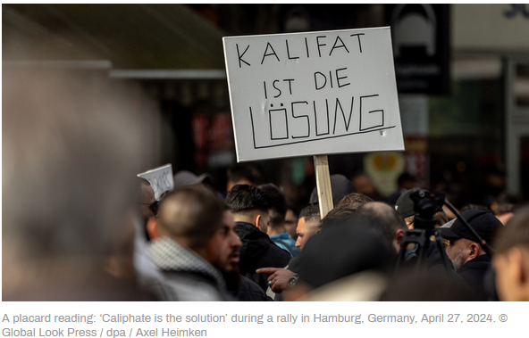 Anti-Islamophobia rally in Germany (www.rt.com)